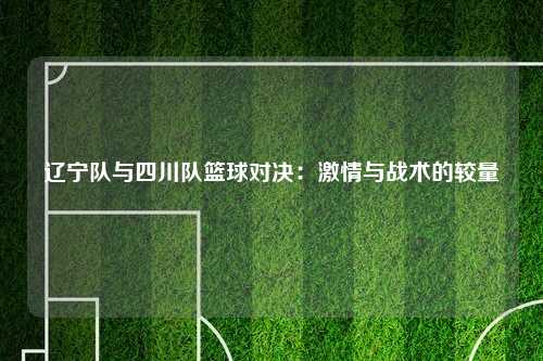 辽宁队与四川队篮球对决：激情与战术的较量