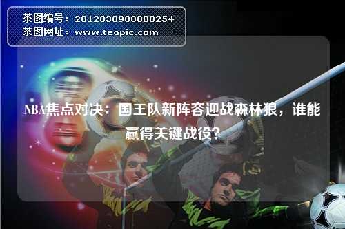 NBA焦点对决：国王队新阵容迎战森林狼，谁能赢得关键战役？
