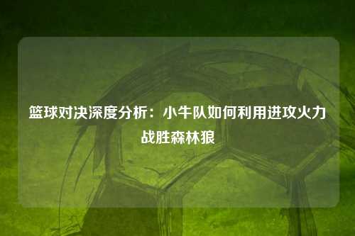 篮球对决深度分析：小牛队如何利用进攻火力战胜森林狼