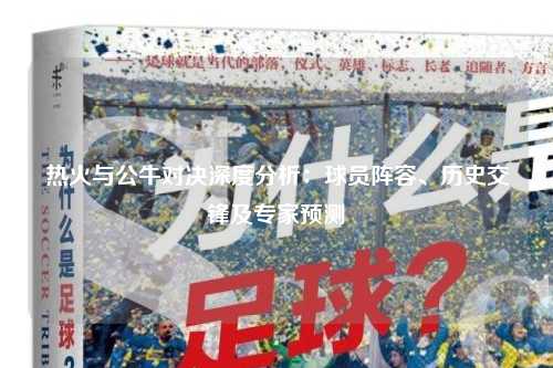 热火与公牛对决深度分析：球员阵容、历史交锋及专家预测