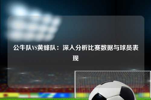 公牛队VS黄蜂队：深入分析比赛数据与球员表现