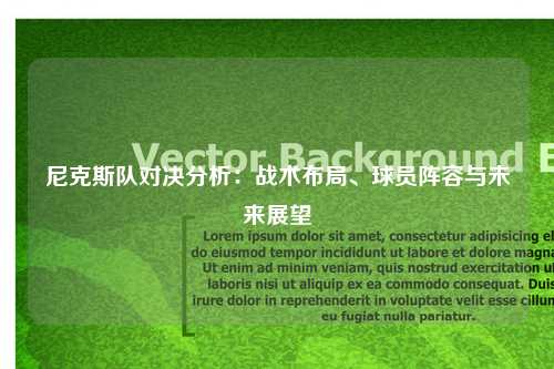尼克斯队对决分析：战术布局、球员阵容与未来展望