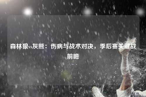 森林狼vs灰熊：伤病与战术对决，季后赛关键战前瞻